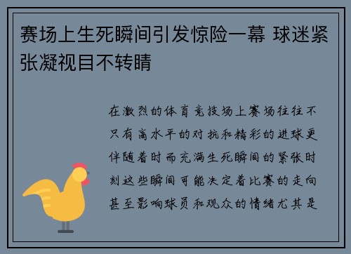 赛场上生死瞬间引发惊险一幕 球迷紧张凝视目不转睛 赛场上生死瞬间引发惊险一幕 球迷紧张凝视目不转睛